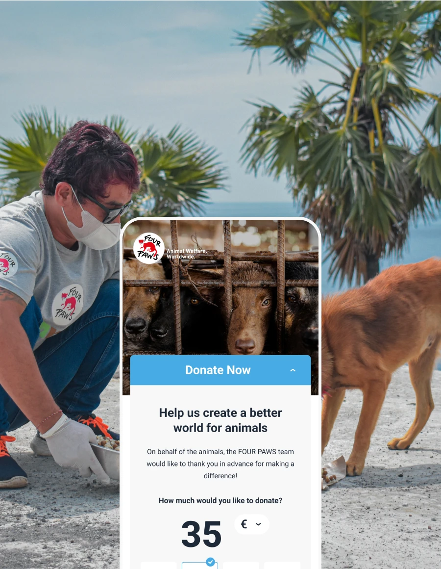 four paws donate page